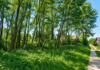 działka na sprzedaż - Zielonki, Bibice