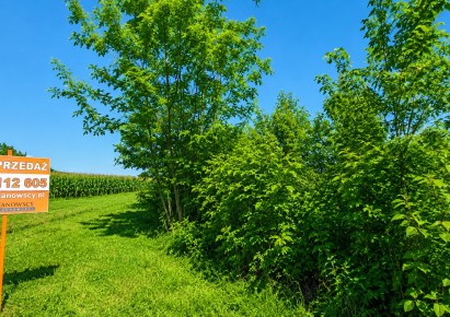 działka na sprzedaż - Kraków, Prądnik Biały, Witkowice