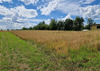 działka na sprzedaż - Michałowice (gw), Kozierów