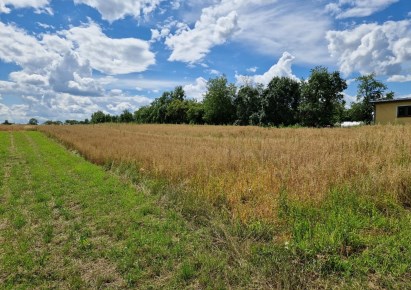 działka na sprzedaż - Michałowice (gw), Kozierów