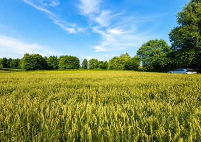działka na sprzedaż - Zielonki, Dziekanowice