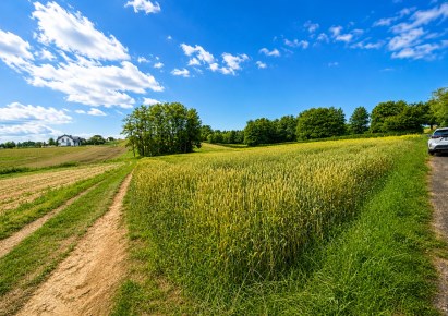 działka na sprzedaż - Zielonki, Dziekanowice