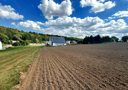 działka na sprzedaż - Zielonki, Garliczka