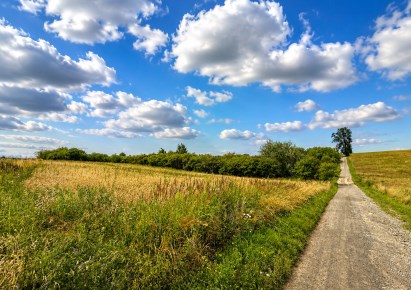 działka na sprzedaż - Zielonki, Brzozówka Korzkiewska