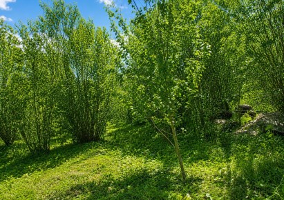 działka na sprzedaż - Zielonki, Bibice
