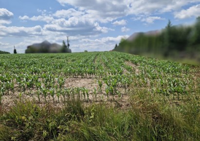 działka na sprzedaż - Kocmyrzów-Luborzyca, Dojazdów