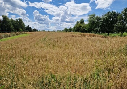 działka na sprzedaż - Michałowice (gw), Kozierów