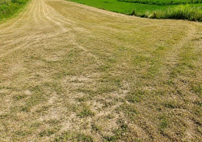 działka na sprzedaż - Zielonki, Węgrzce