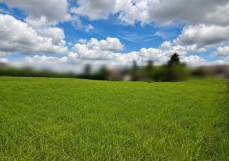 działka na sprzedaż - Zielonki, Bibice
