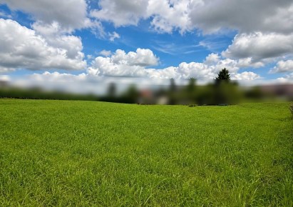 działka na sprzedaż - Zielonki, Bibice