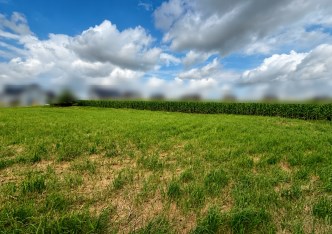 działka na sprzedaż - Zielonki, Bibice