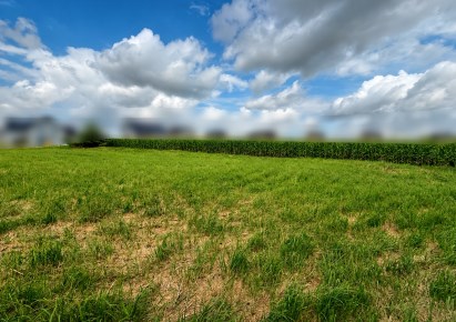 działka na sprzedaż - Zielonki, Bibice