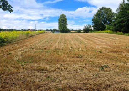 działka na sprzedaż - Iwanowice, Celiny