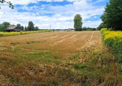 działka na sprzedaż - Iwanowice, Celiny