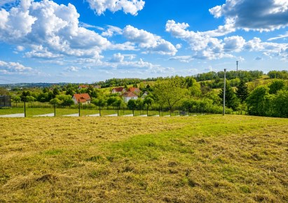 działka na sprzedaż - Zielonki, Owczary