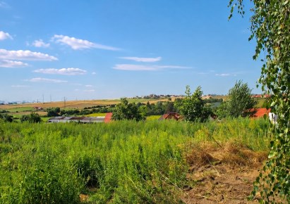 działka na sprzedaż - Zielonki, Bosutów, Boleń