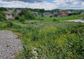 działka na sprzedaż - Michałowice (gw), Masłomiąca