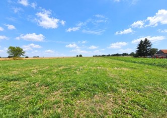 działka na sprzedaż - Skała (gw), Rzeplin