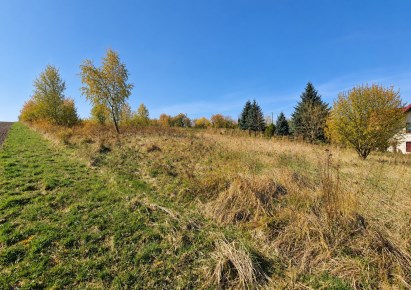 działka na sprzedaż - Zielonki, Owczary