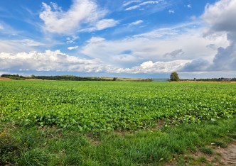 działka na sprzedaż - Skała (gw), Smardzowice