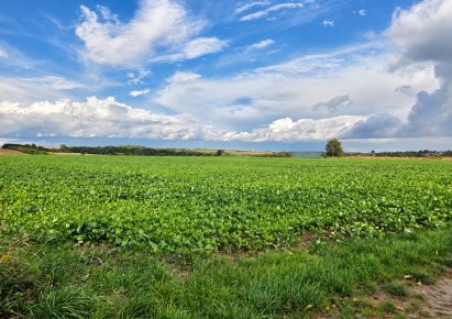 działka na sprzedaż - Skała (gw), Smardzowice