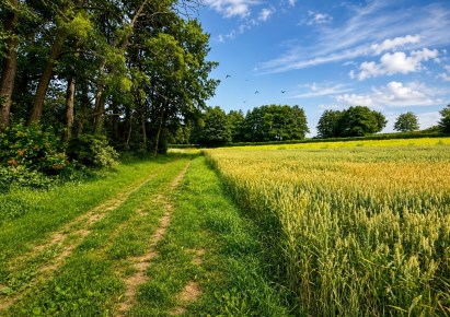 działka na sprzedaż - Zielonki, Bosutów