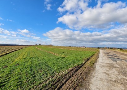 działka na sprzedaż - Skała (gw), Skała