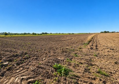 działka na sprzedaż - Skała (gw), Skała