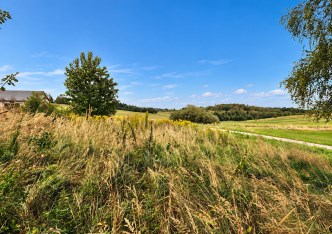 działka na sprzedaż - Jerzmanowice-Przeginia, Sąspów