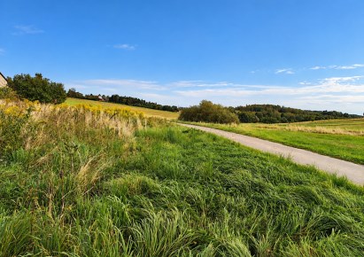 działka na sprzedaż - Jerzmanowice-Przeginia, Sąspów