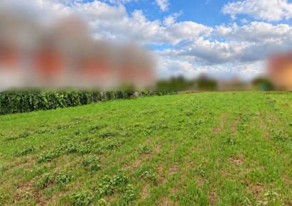 działka na sprzedaż - Zielonki