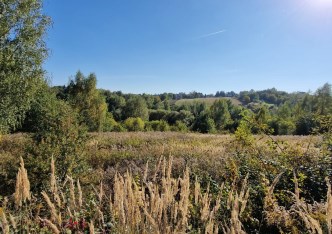 działka na sprzedaż - Wielka Wieś, Biały Kościół