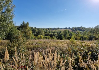 działka na sprzedaż - Wielka Wieś, Biały Kościół