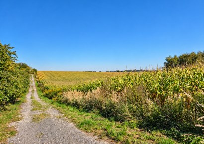 działka na sprzedaż - Zielonki, Owczary
