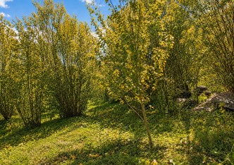 działka na sprzedaż - Zielonki, Bibice