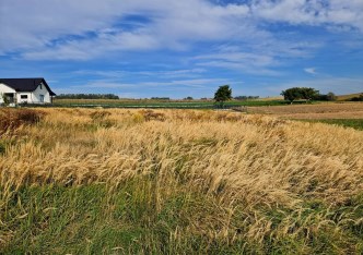 działka na sprzedaż - Kocmyrzów-Luborzyca, Kocmyrzów