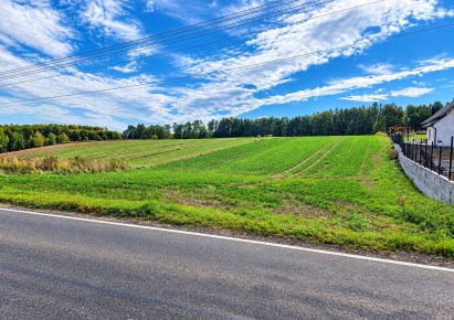 działka na sprzedaż - Iwanowice, Zagaje