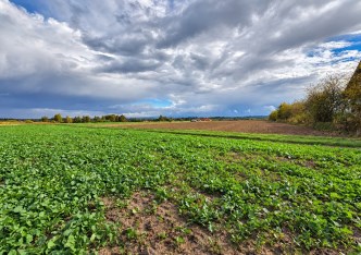 działka na sprzedaż - Skała (gw), Smardzowice