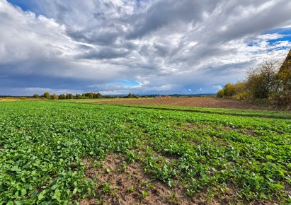 działka na sprzedaż - Skała (gw), Smardzowice