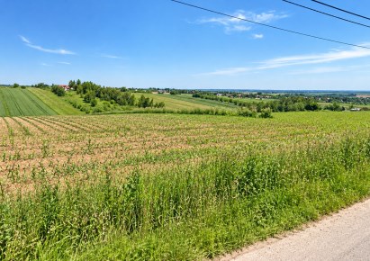 działka na sprzedaż - Iwanowice, Damice