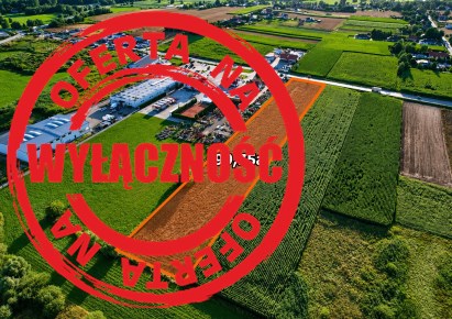 działka na sprzedaż - Proszowice (gw), Opatkowice