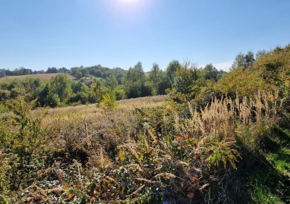 działka na sprzedaż - Wielka Wieś, Biały Kościół