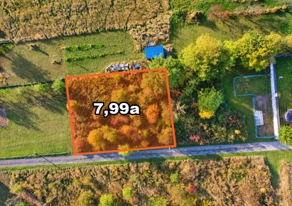 działka na sprzedaż - Zielonki, Owczary