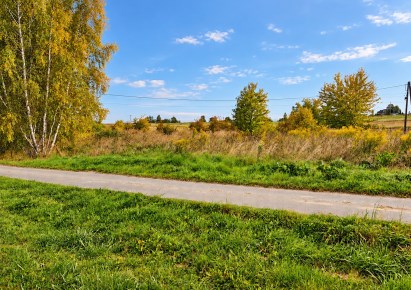 działka na sprzedaż - Jerzmanowice-Przeginia, Sąspów