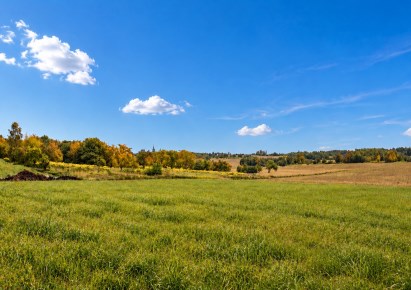 działka na sprzedaż - Skała (gw), Smardzowice