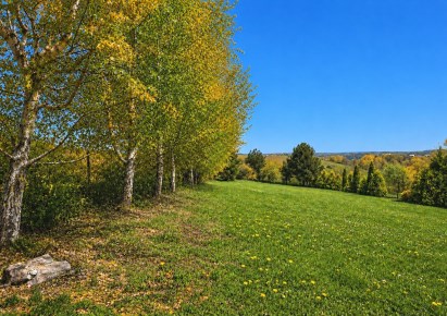 działka na sprzedaż - Zielonki, Węgrzce